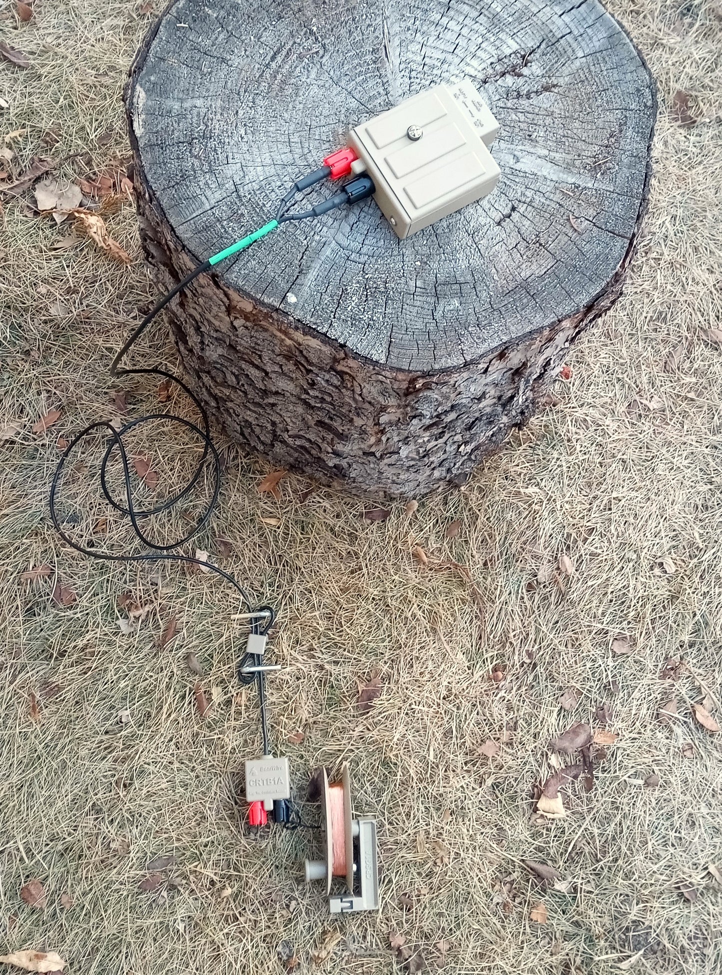 5 Foot BearWire Loop Wire Leader